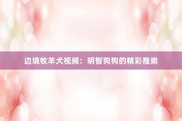 边境牧羊犬视频：明智狗狗的精彩推崇